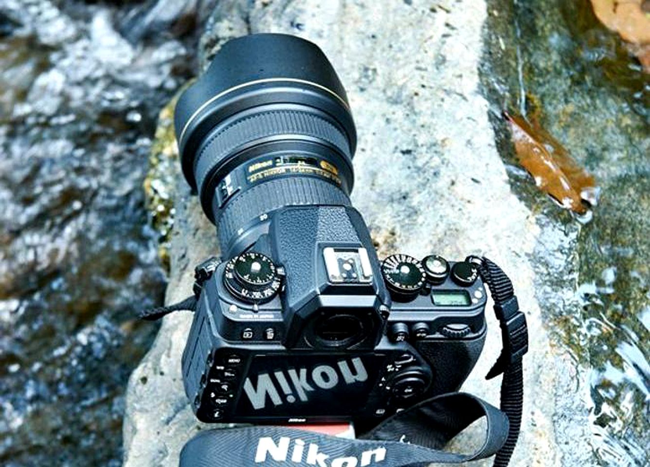 Enchanting Riverside Cabin Rental in the Rainforest near Cairns, Queensland