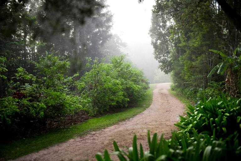 Cabins (Malanda, Queensland, Australia)