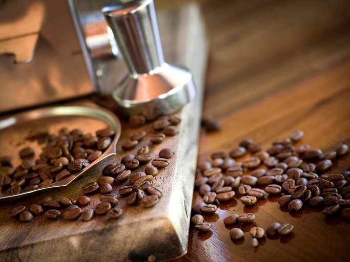 Cabins (Malanda, Queensland, Australia)