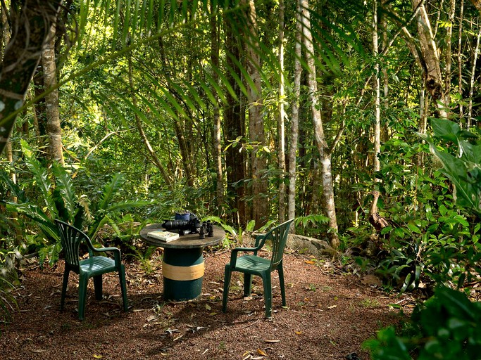 Cabins (Malanda, Queensland, Australia)