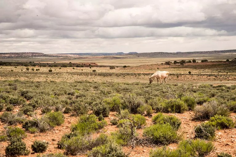 Bell Tents (Page, Arizona, United States)