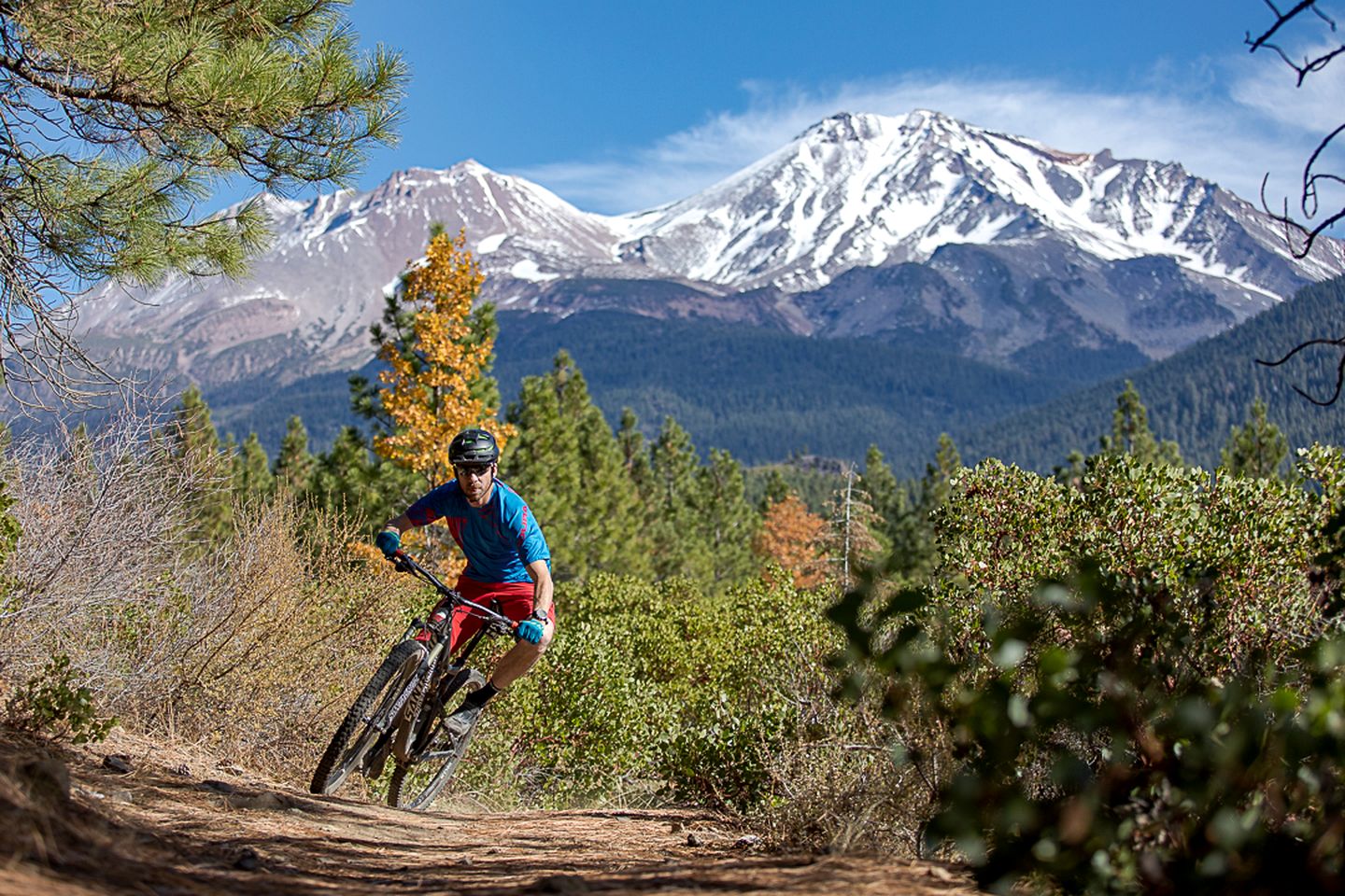 Charming Cottage Retreat with Deck and Luxury Touches in Mount Shasta, California