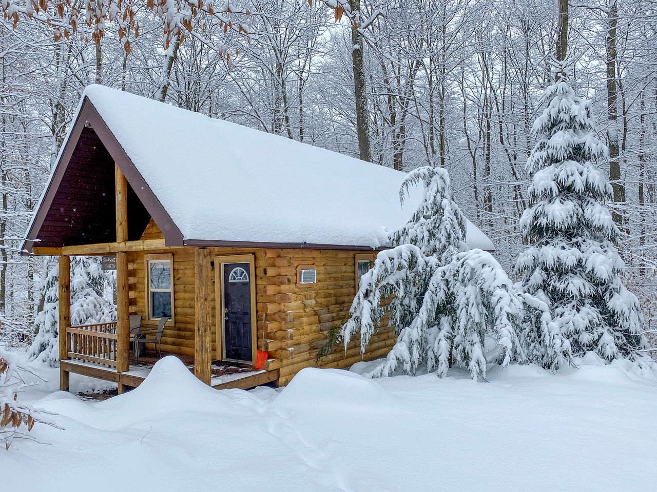 Amazing Cabin with Fire Pit and Hot Tub in Bruceton Mills, West Virginia