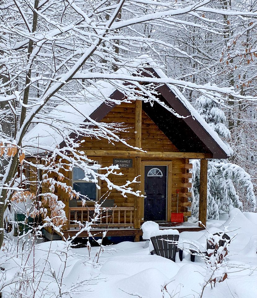 Amazing Cabin with Fire Pit and Hot Tub in Bruceton Mills, West Virginia