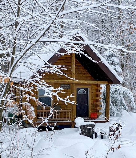 Amazing Cabin with Fire Pit and Hot Tub in Bruceton Mills, West Virginia