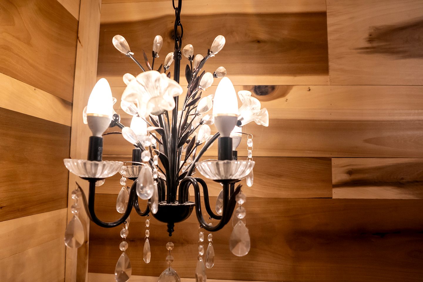 Romantic Lakefront Cabin with Private Hot Tub Near Lake of Egypt | Tunnel Hill, Illinois