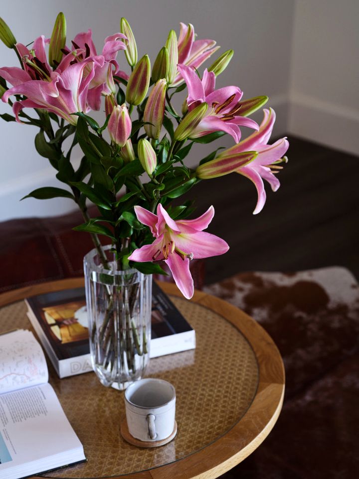 Luxury Villa with Heated Bathroom & Pet-Friendly Access, Close to Wineries in Mudgee, NSW