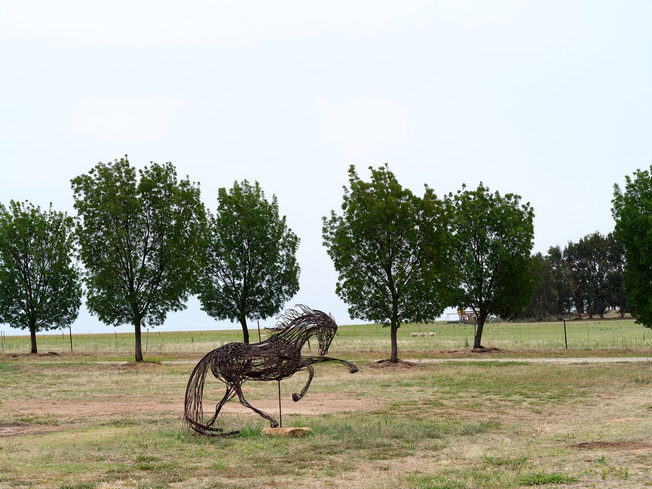 Luxury Cellar Door Accommodation with Heated Bathroom Near Wineries | Mudgee, NSW