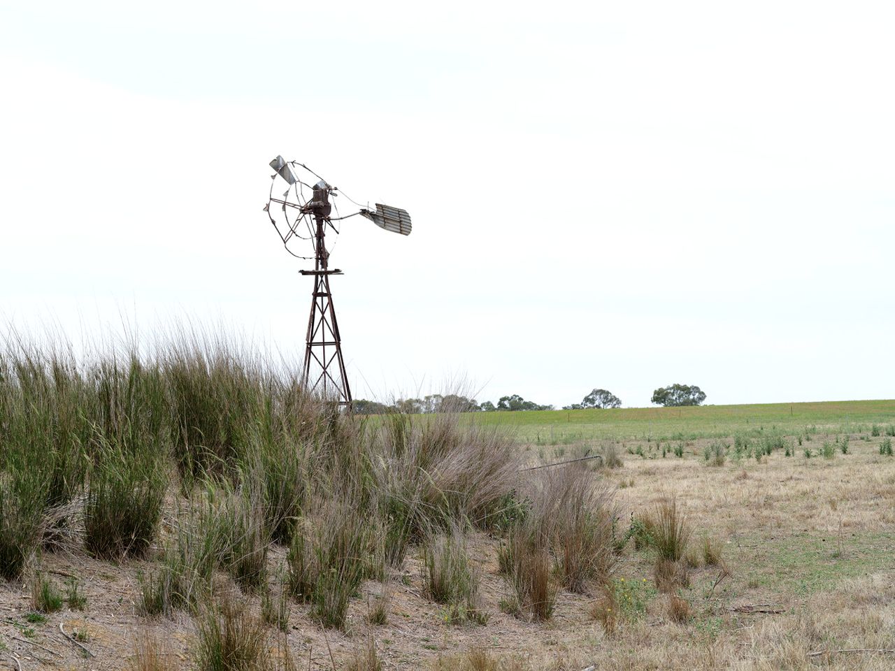 Luxury Cellar Door Accommodation with Heated Bathroom Near Wineries | Mudgee, NSW