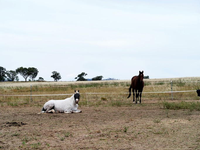 Vacation Rentals (Australia, Bombira, New South Wales)