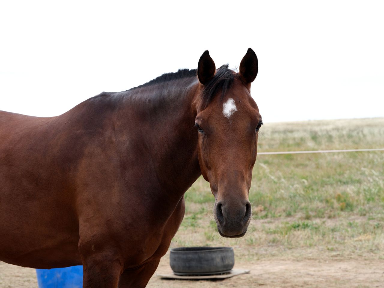 Luxury Pet-Friendly Villa with Heated Bathrooms & Full Kitchen Near Wineries in Mudgee, New South Wales