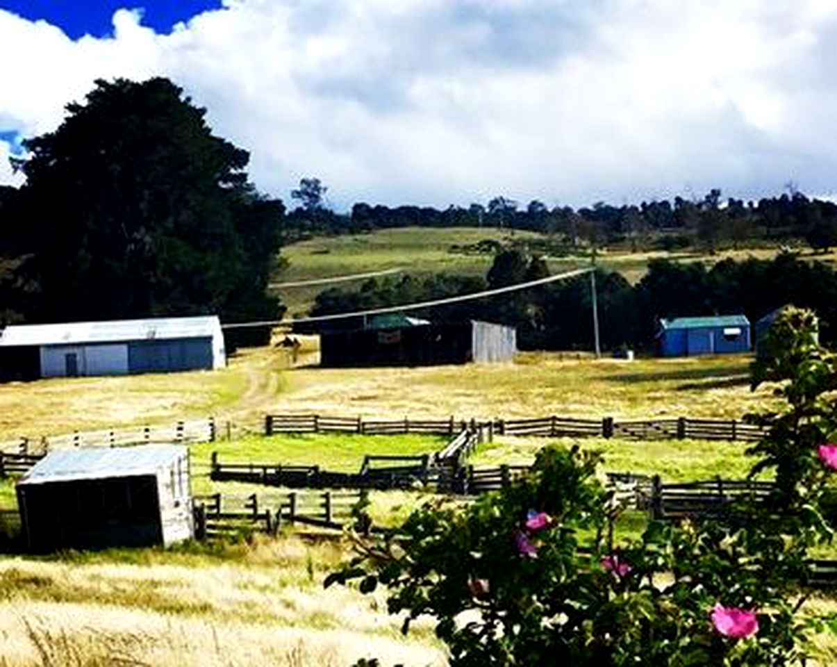 Pet-Friendly Cottage Getaway on a Farm near Hamilton, Tasmania