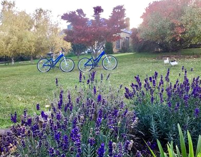 Cottages (Bothwell, Tasmania, Australia)