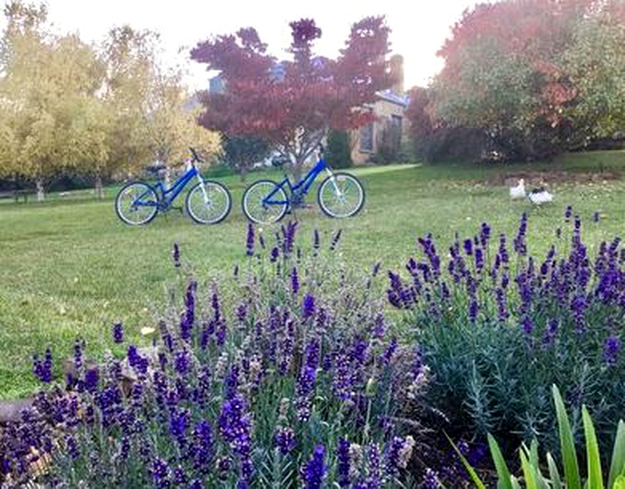 Pet-Friendly Cottage Getaway on a Farm near Hamilton, Tasmania