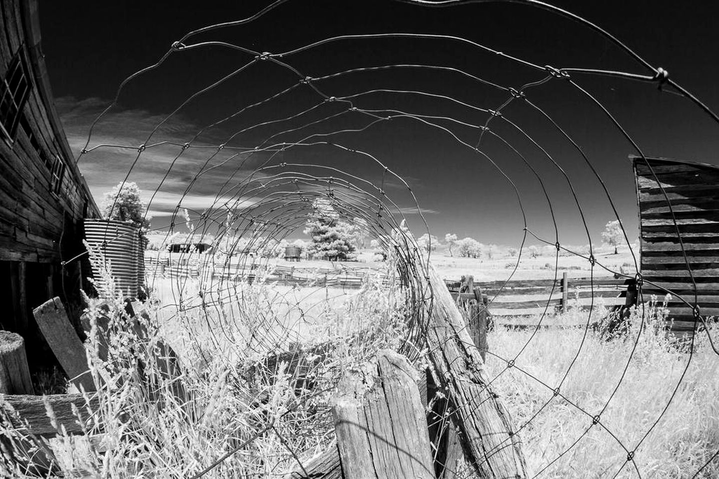 Peaceful Bed and Breakfast with a Balcony near Hamilton in Tasmania, Australia