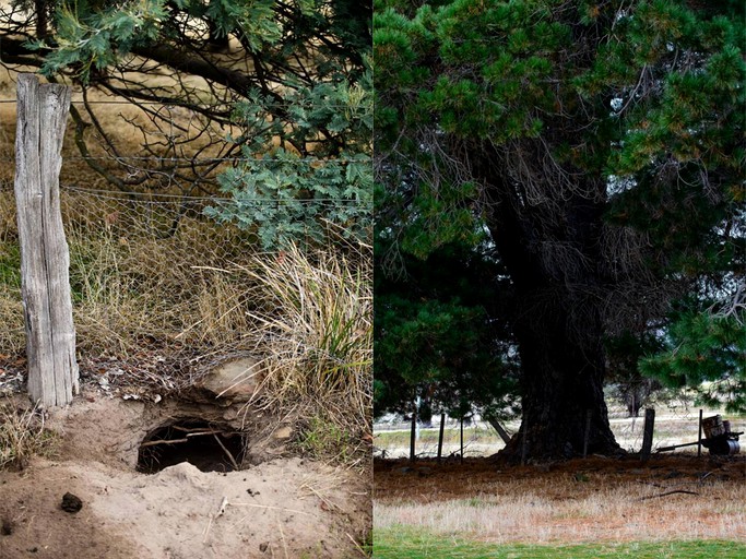 Nature Lodges (Bothwell, Tasmania, Australia)