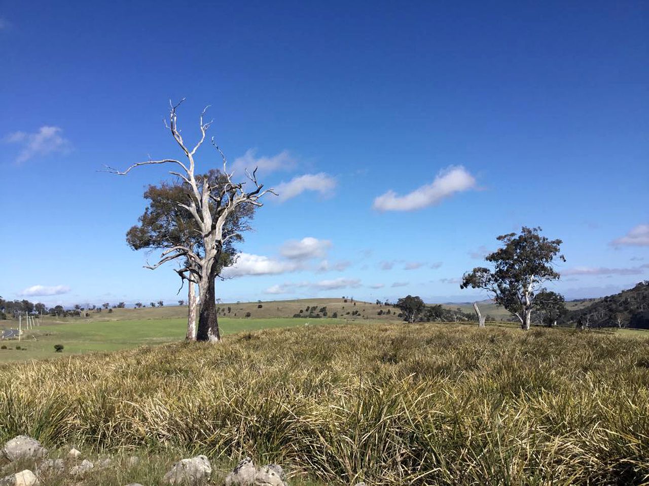 Charming Family-Friendly Bed and Breakfast near Bothwell, Tasmania