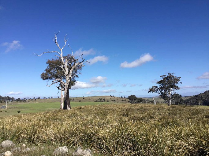 Nature Lodges (Bothwell, Tasmania, Australia)