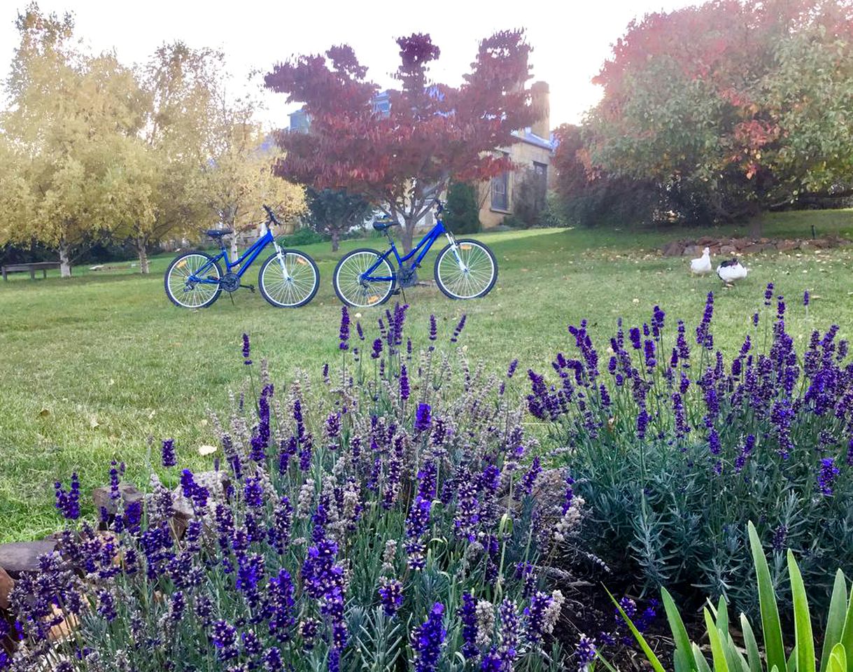 Charming Family-Friendly Bed and Breakfast near Bothwell, Tasmania