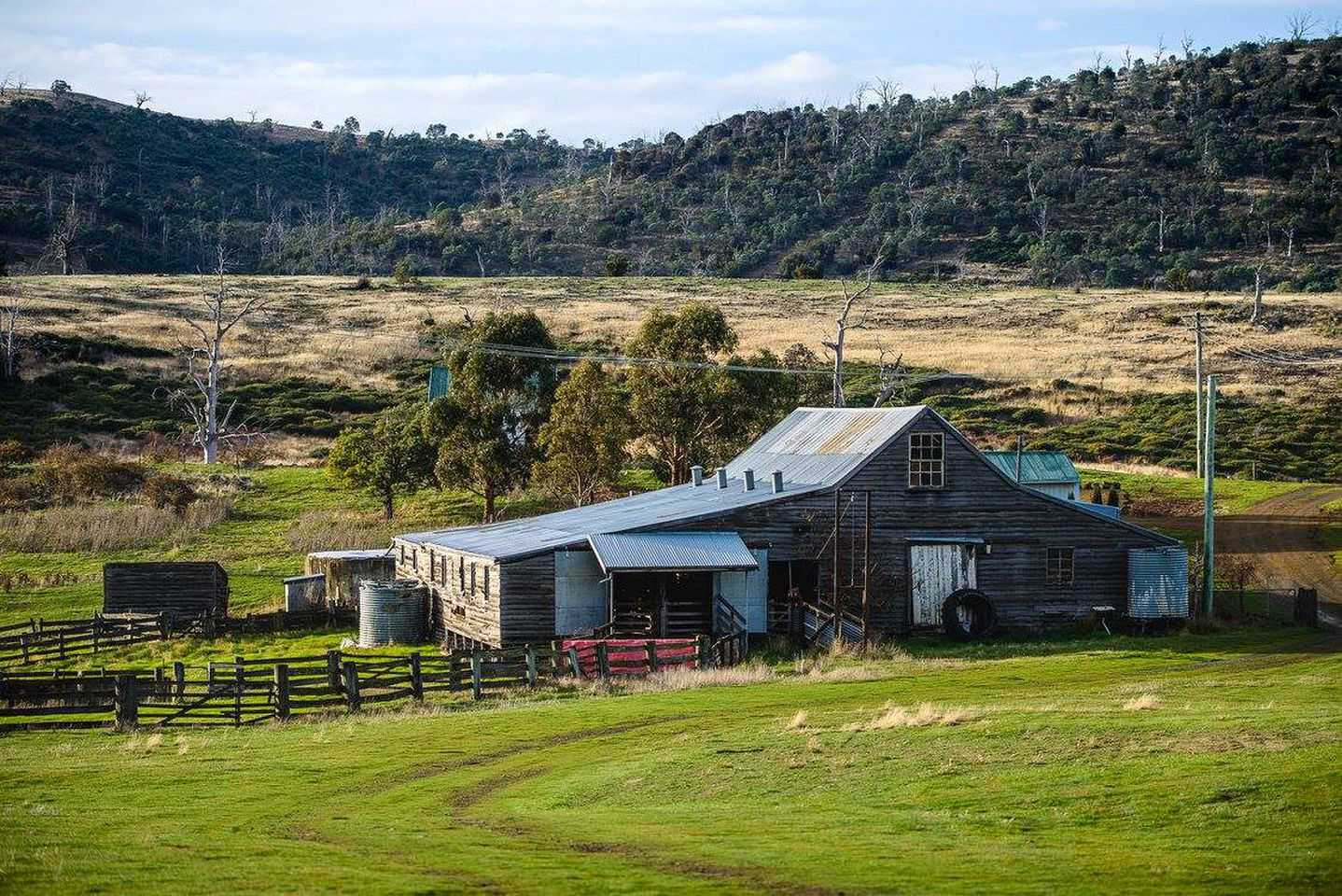 Charming Family-Friendly Bed and Breakfast near Bothwell, Tasmania