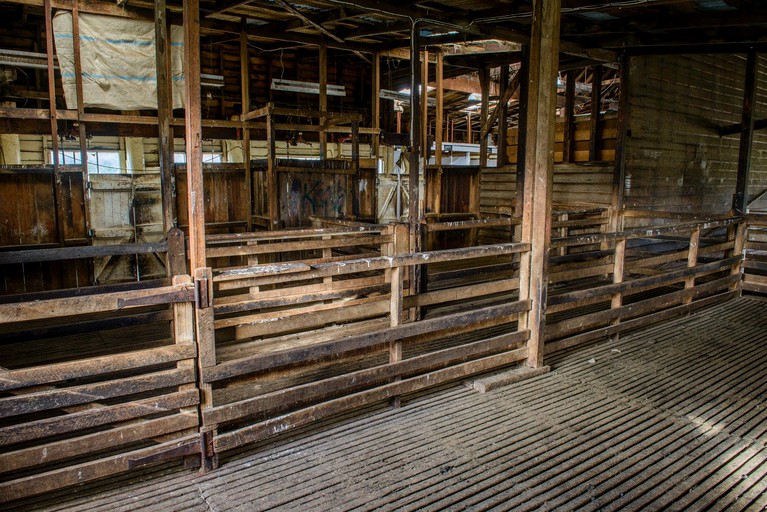 Nature Lodges (Bothwell, Tasmania, Australia)