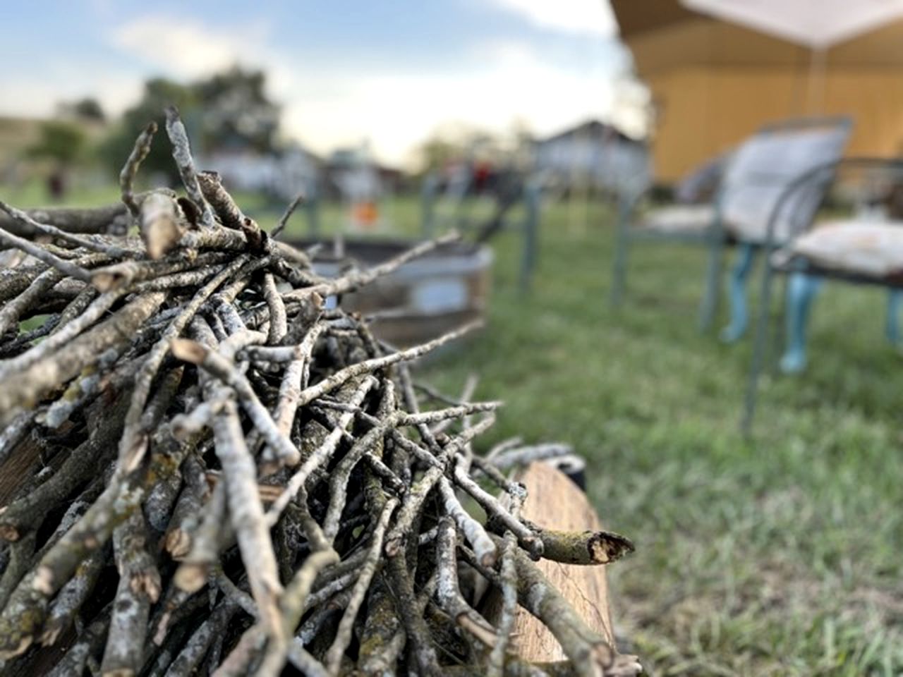 Shenandoah Valley Glamping Bell Tent on Working Cattle Farm in Edinburg, Virginia