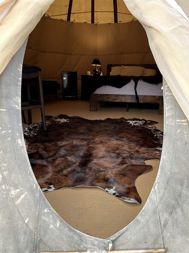Tipis (United States of America, Cameron, Montana)