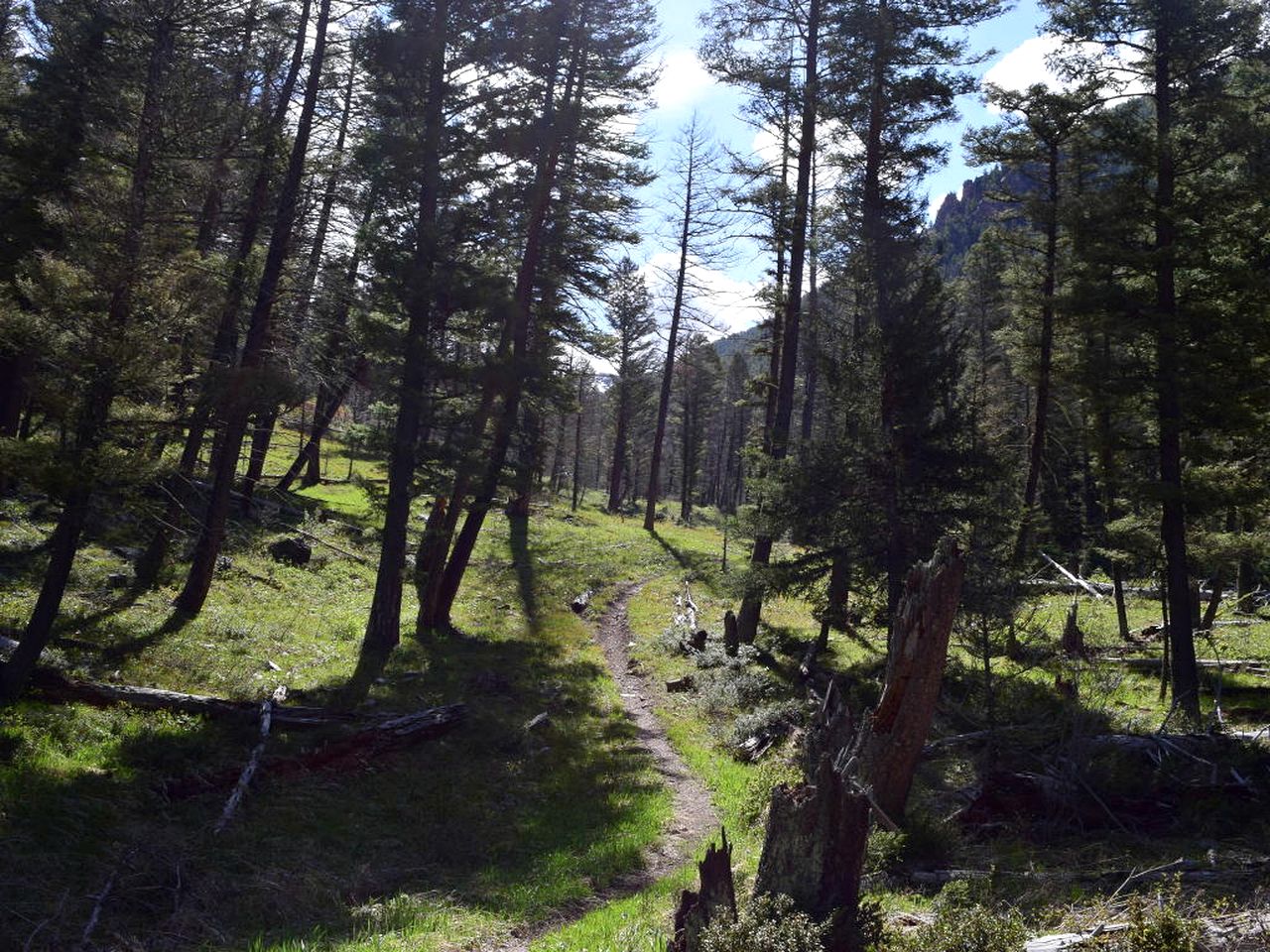 Scenic Vacation Cabin with 360° Mountain Views near Yellowstone National Park in Madison River Valley, Montana