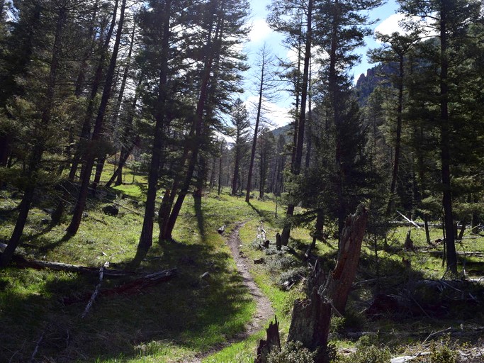 Vacation Rentals (United States of America, Cameron, Montana)