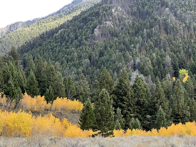 Vacation Rentals (United States of America, Cameron, Montana)