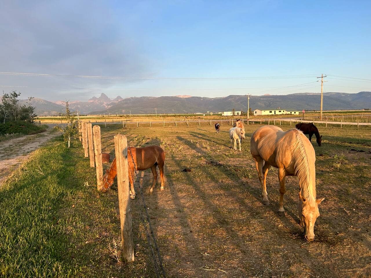 Rustic Sheep Wagon Glamping Retreat with Cowboy Ranch Views near Grand Tetons in Tetonia, Idaho