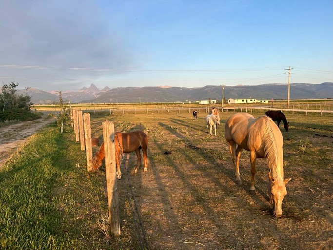 Caravans (United States of America, Tetonia, Idaho)