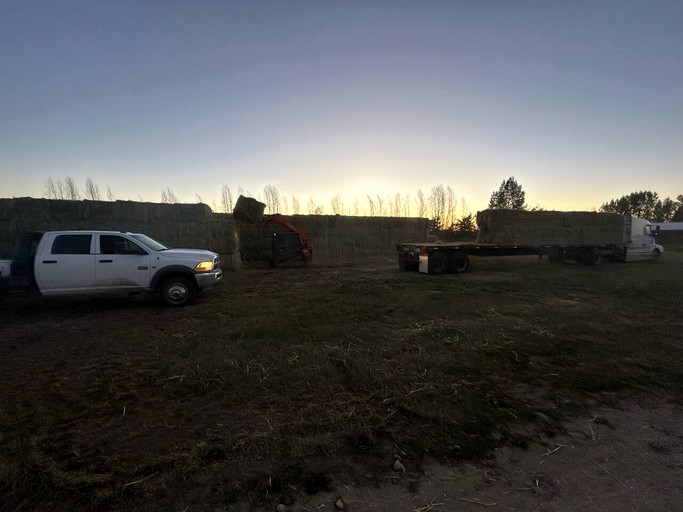 Caravans (United States of America, Tetonia, Idaho)
