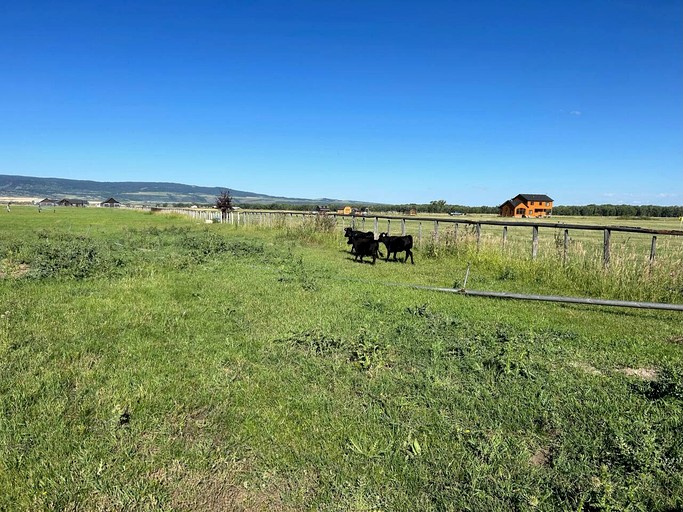 Caravans (United States of America, Tetonia, Idaho)