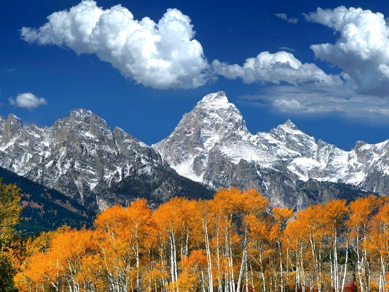 Charming Glamping Wagon with Mountain Views on Working Ranch near Grand Teton – Tetonia, Idaho