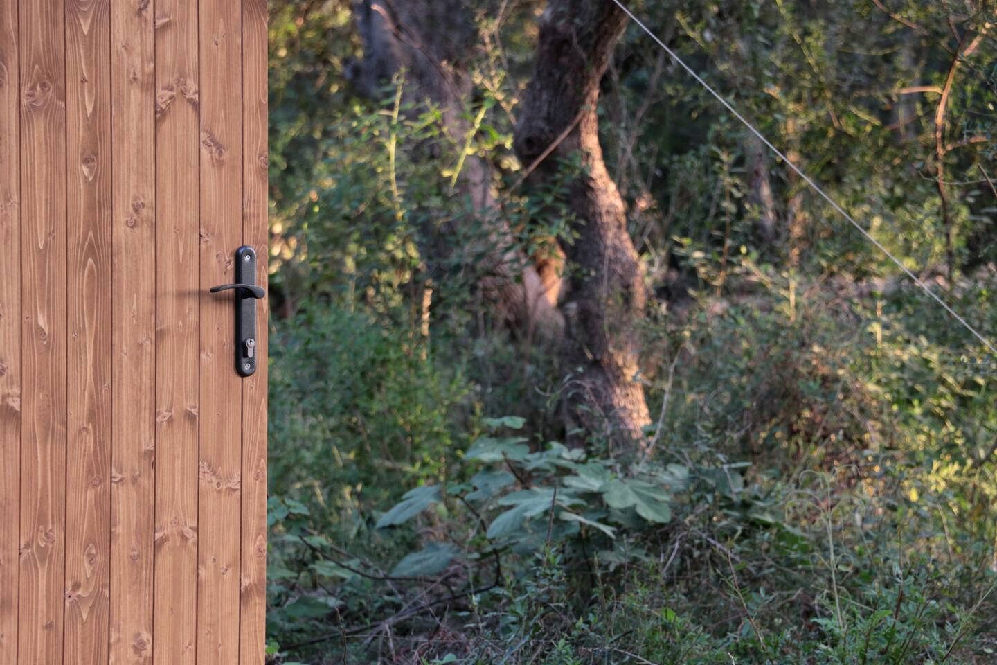 Secluded Off-Grid Yurt Stay with Outdoor Kitchen near Tramuntana Mountains, Mallorca