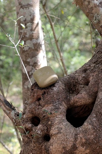 Vacation Rentals (Spain, Llubi, Balearic Islands)