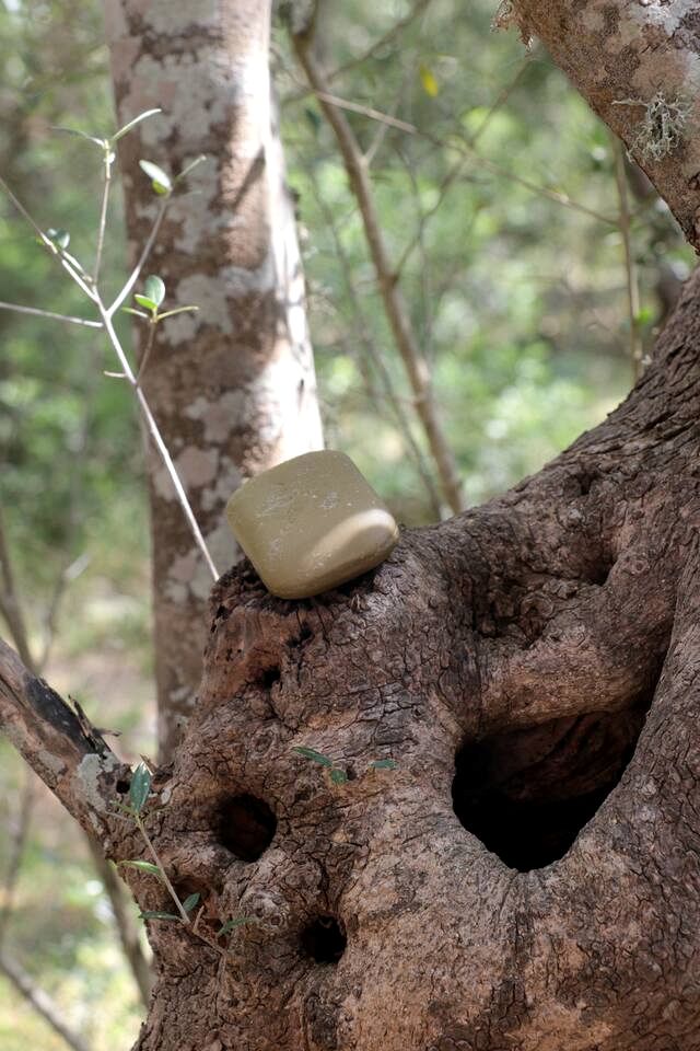 Secluded Off-Grid Yurt Stay with Outdoor Kitchen near Tramuntana Mountains, Mallorca