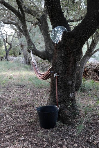 Vacation Rentals (Spain, Llubi, Balearic Islands)