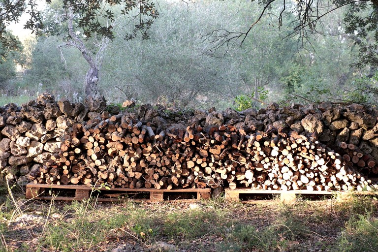 Vacation Rentals (Spain, Llubi, Balearic Islands)