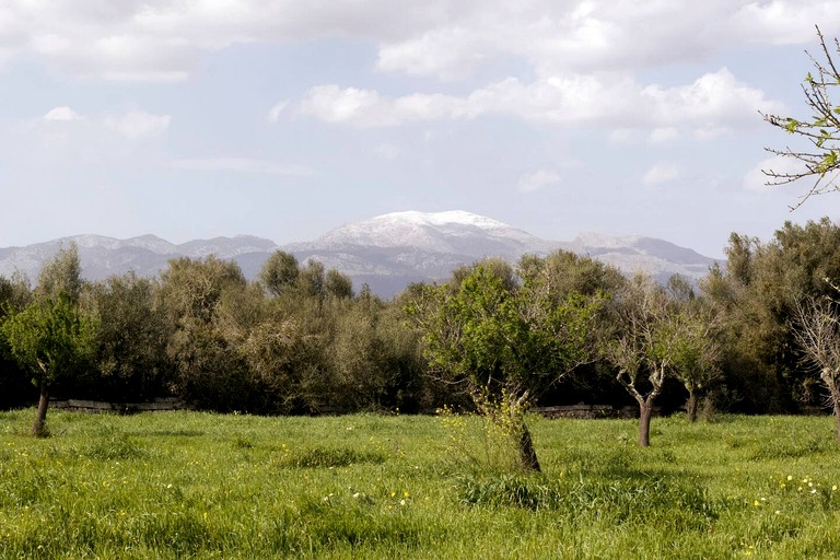 Vacation Rentals (Spain, Llubi, Balearic Islands)