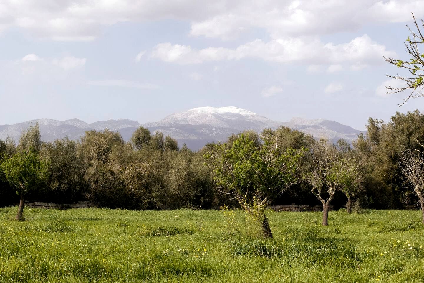 Secluded Off-Grid Yurt Stay with Outdoor Kitchen near Tramuntana Mountains, Mallorca