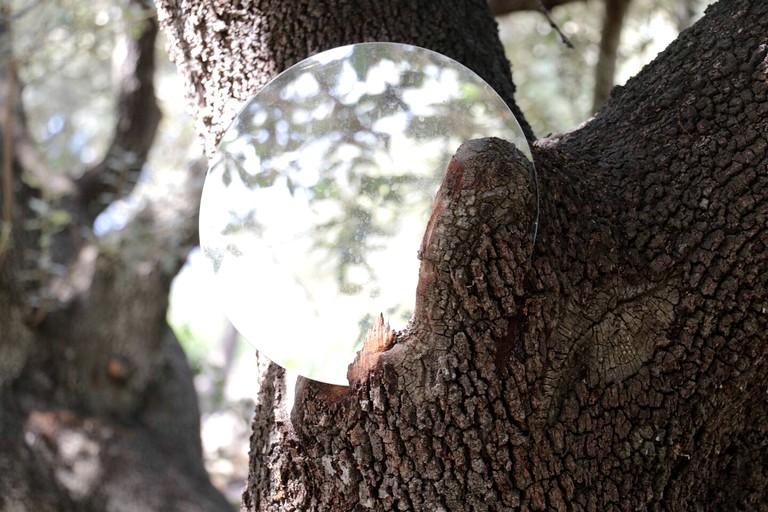 Vacation Rentals (Spain, Llubi, Balearic Islands)