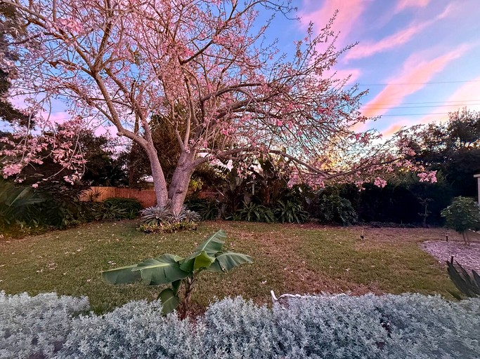 Vacation Rentals (United States of America, Sarasota, Florida)