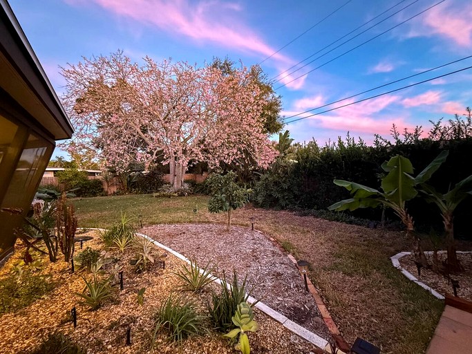 Vacation Rentals (United States of America, Sarasota, Florida)