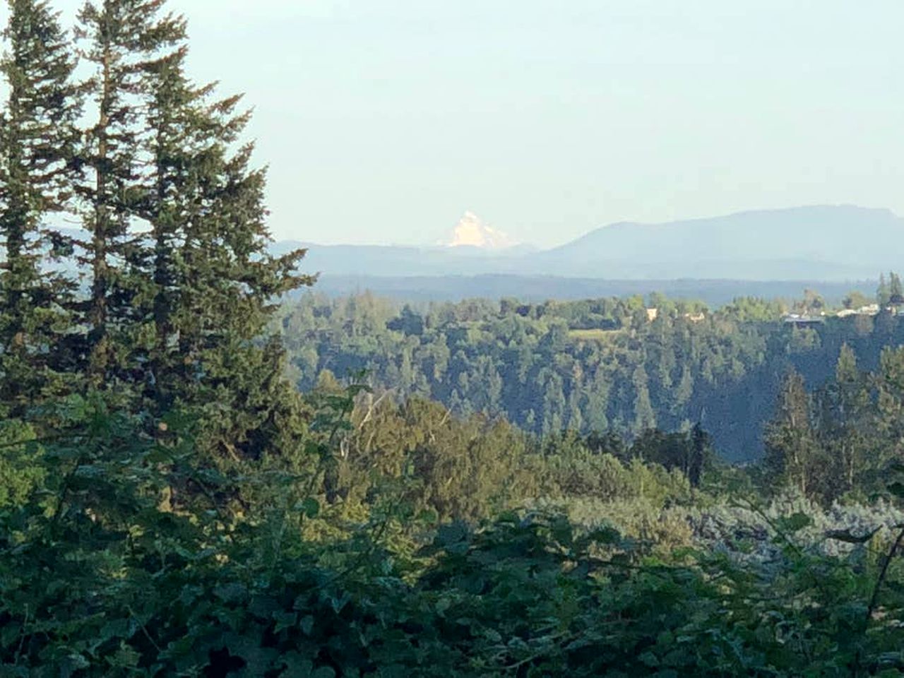 Impressive Cabin with Three Acres of Land near Portland, Oregon