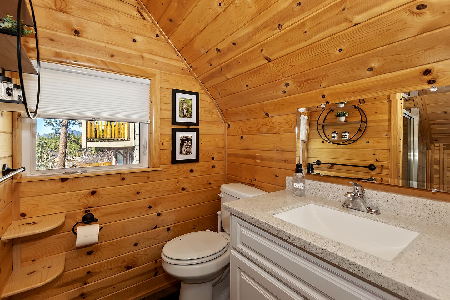 Unwind with a View: Cabin Overlooking the Slopes in Big Bear Lake, California