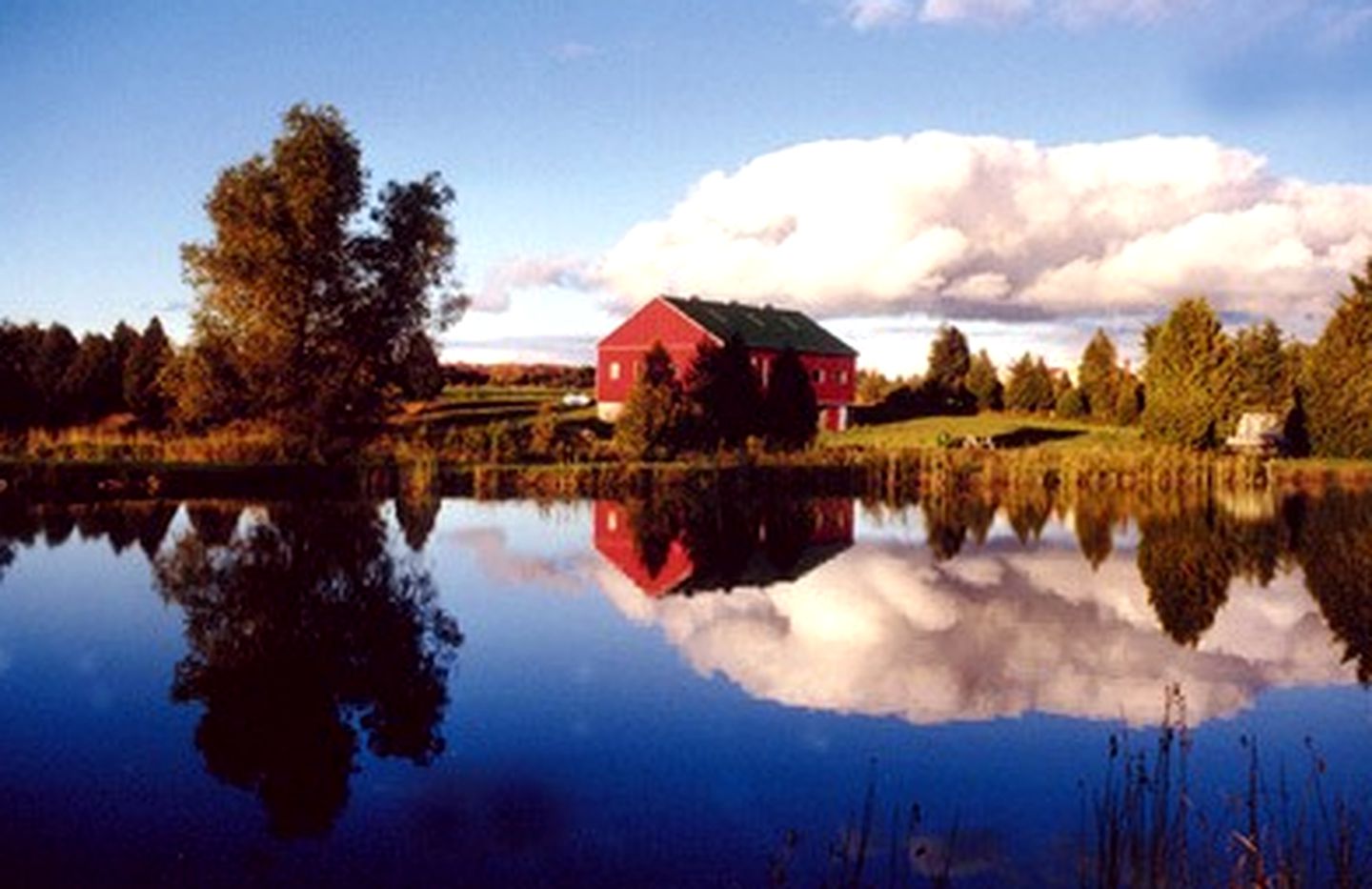 Luxurious Cottage Retreat Rental Nestled in the Beautiful Wilderness of Grey County, Ontario