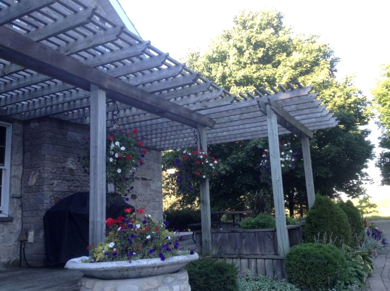 Luxurious Cottage Retreat Rental Nestled in the Beautiful Wilderness of Grey County, Ontario