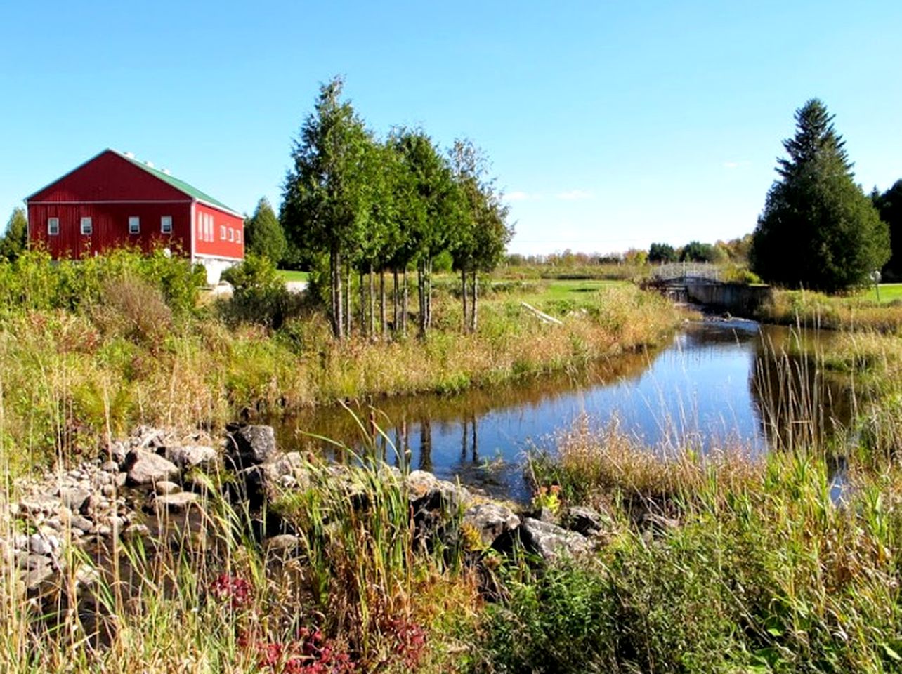 Luxurious Cottage Retreat Rental Nestled in the Beautiful Wilderness of Grey County, Ontario